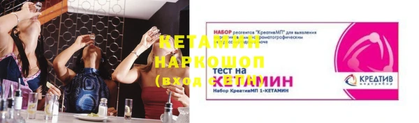 крисы Няндома