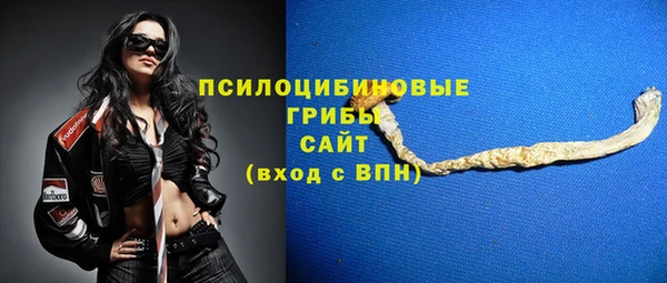 дмт Нязепетровск