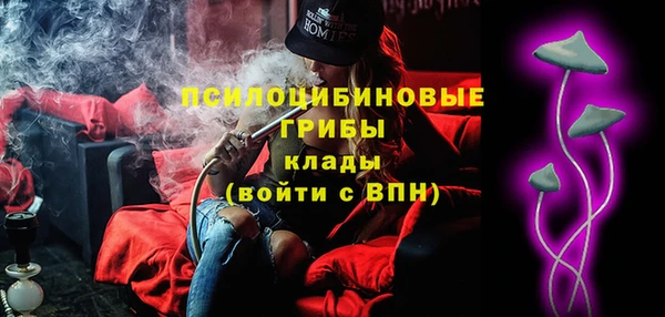 крисы Няндома