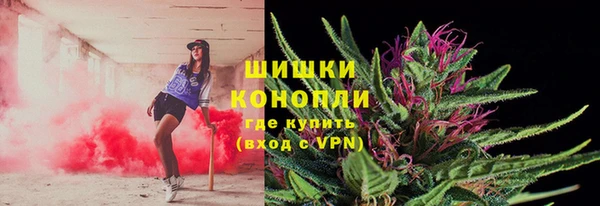 крисы Няндома