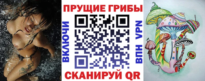 Купить закладки  Щигры  Галлюциногенные грибы Cubensis 